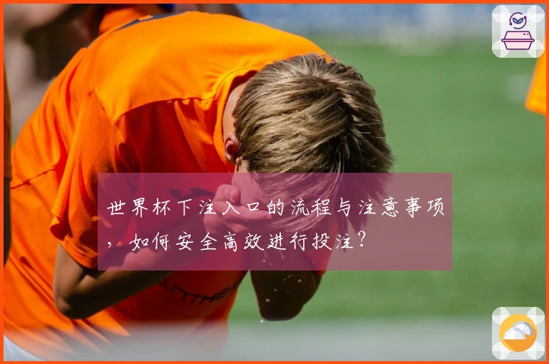 世界杯下注入口的流程与注意事项，如何安全高效进行投注？