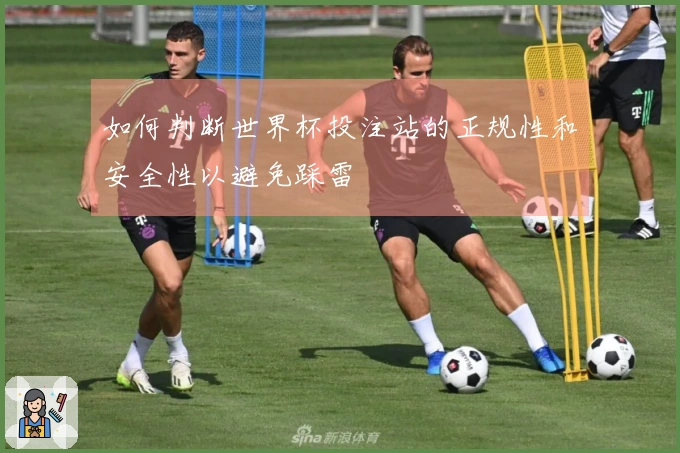 如何判断世界杯投注站的正规性和安全性以避免踩雷