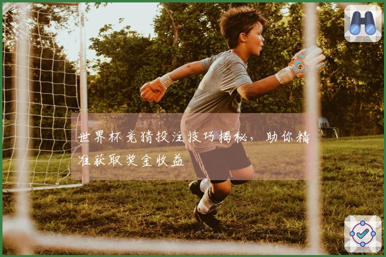 世界杯竞猜投注技巧揭秘，助你精准获取奖金收益