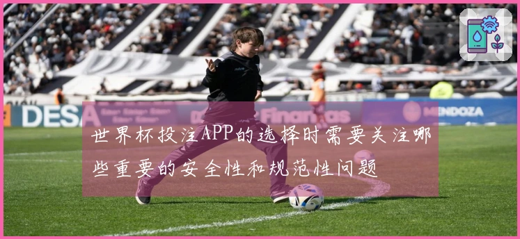 世界杯投注APP的选择时需要关注哪些重要的安全性和规范性问题