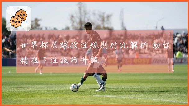 世界杯买球投注规则对比解析 助你精准下注技巧升级
