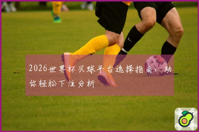 2026世界杯买球平台选择指南，助你轻松下注分析