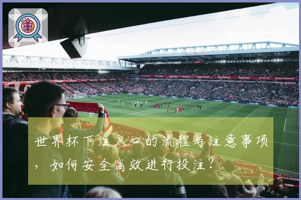 世界杯下注入口的流程与注意事项，如何安全高效进行投注？