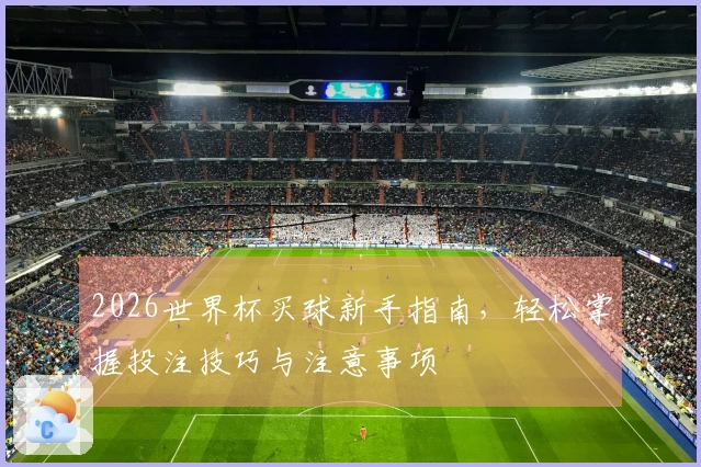 2026世界杯买球新手指南，轻松掌握投注技巧与注意事项