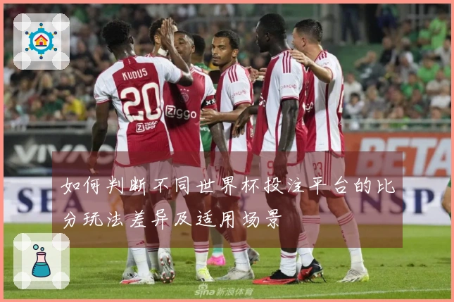 如何判断不同世界杯投注平台的比分玩法差异及适用场景