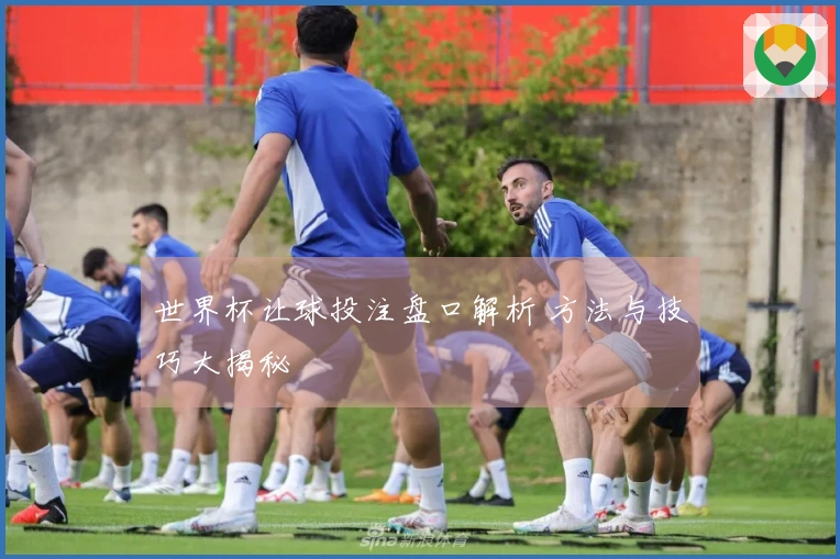 世界杯让球投注盘口解析 方法与技巧大揭秘