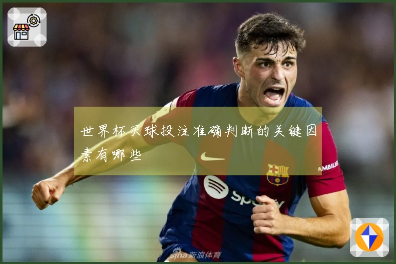 世界杯买球投注准确判断的关键因素有哪些