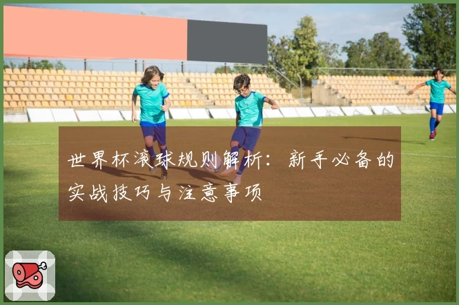 世界杯滚球规则解析：新手必备的实战技巧与注意事项