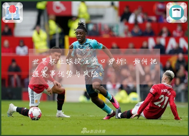 世界杯让球投注盘口分析：如何把握赛事优势与风险