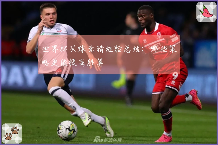 世界杯买球竞猜经验总结：哪些策略更能提高胜算
