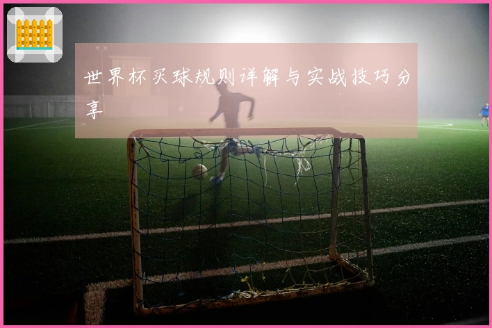 世界杯买球规则详解与实战技巧分享