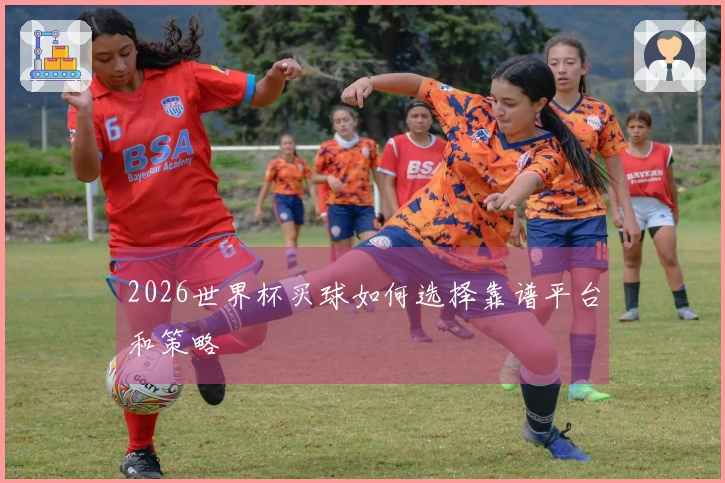 2026世界杯买球如何选择靠谱平台和策略