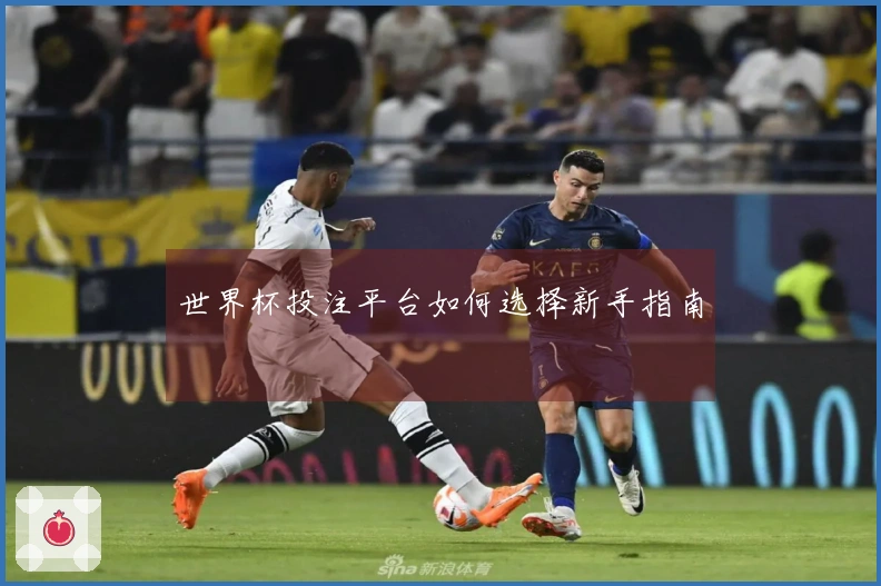 世界杯投注平台如何选择新手指南