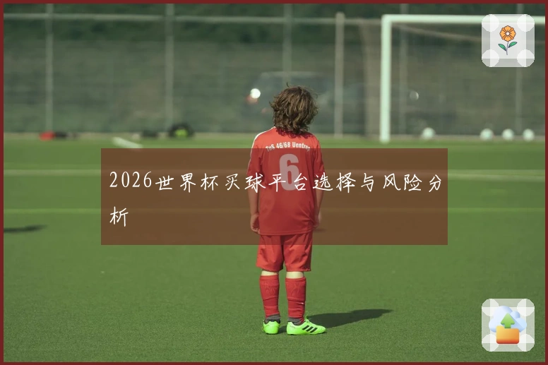 2026世界杯买球平台选择与风险分析