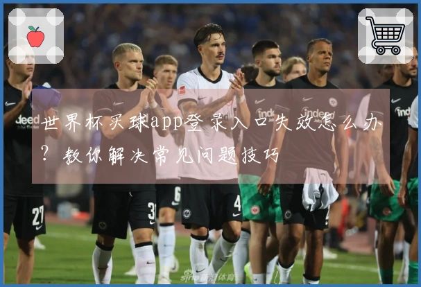 世界杯买球app登录入口失效怎么办？教你解决常见问题技巧