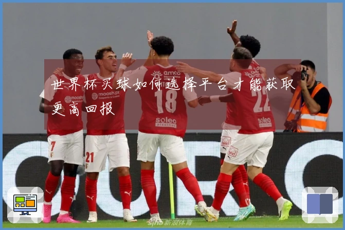 世界杯买球如何选择平台才能获取更高回报