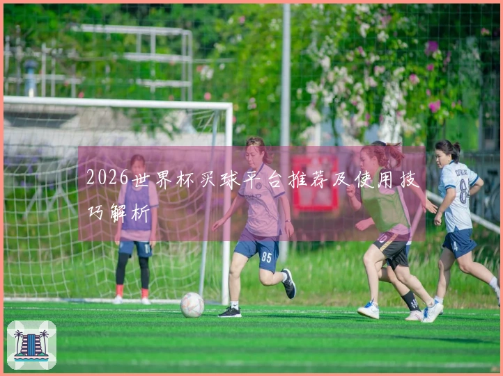 2026世界杯买球平台推荐及使用技巧解析