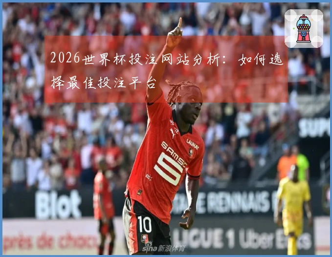 2026世界杯投注网站分析：如何选择最佳投注平台
