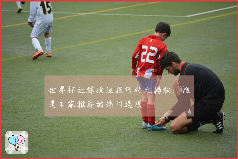 世界杯让球投注技巧对比揭秘，谁是专家推荐的热门选项